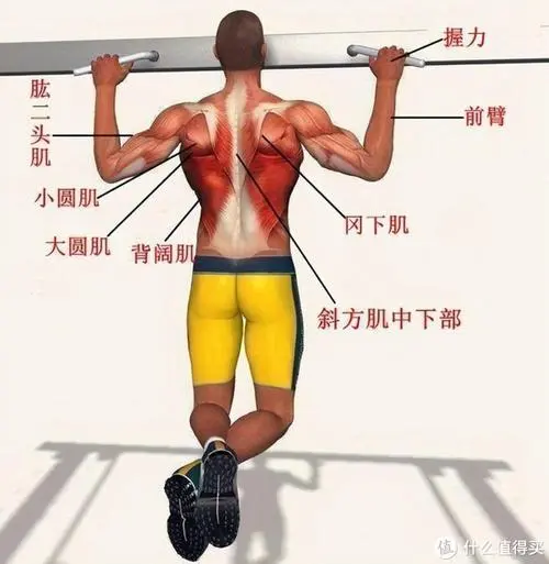 为什么选择自制50w电子管功率放大器款胆机？